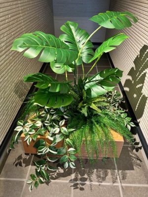 エンントランス階段下にグリーン