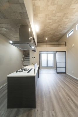 203 LDK＆洋室(上部ロフト)