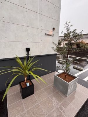 プランター植栽1