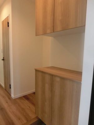 南向きタイプ102号室：下駄箱（上下セパレートタイプ）