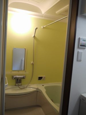 バスルーム アクセントパネルの色が特徴的