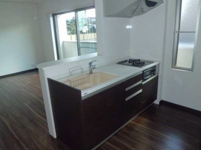 Veruous RAY ～ベリアス レイ～ 30