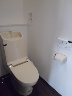 Veruous RAY ～ベリアス レイ～ 45